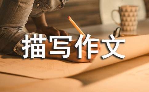 哪里有详细的篮球技能提升步骤介绍_2